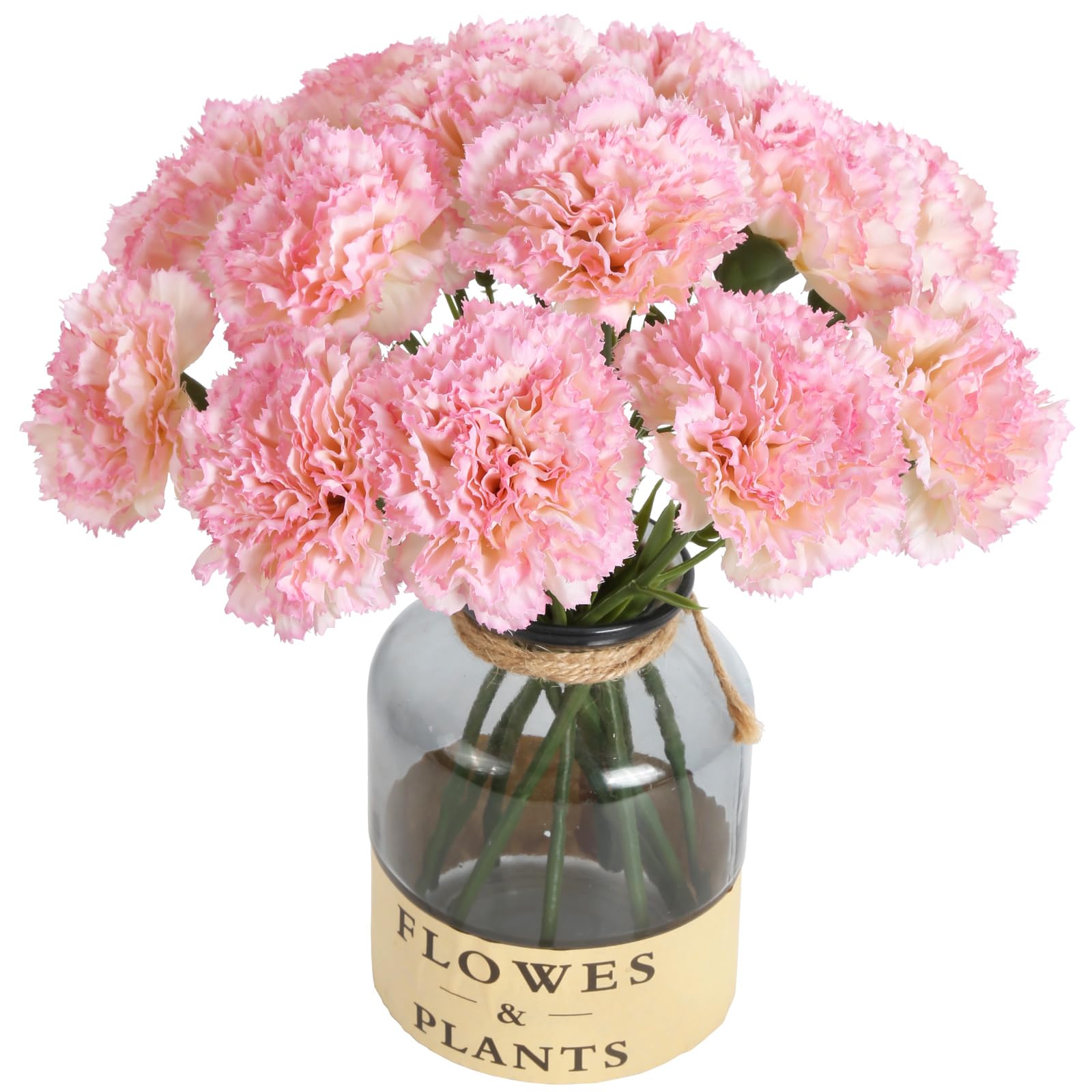 S*r様 カーネーション CARNATION EARLY YEARS BOX レ S*r様 カーネーション CARNATION EARLY YEARS BOX レ Carnation